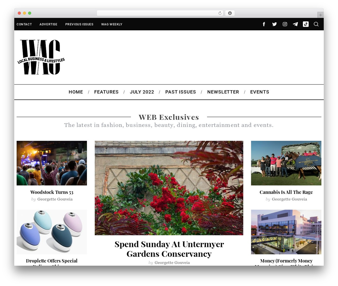 WordPress theme SimpleMag - wagmag.com WordPress theme SimpleMag - wagmag.com