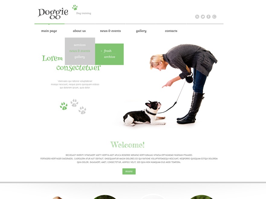 WordPress theme theme52559