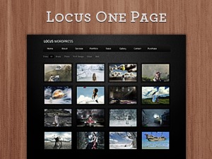 WordPress website theme Locus - Responsive One Page Wordpress Theme by elemis