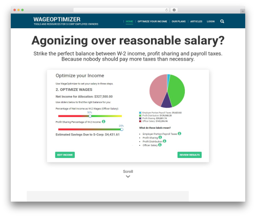 WordPress website theme wageoptimizer - wageoptimizer.com