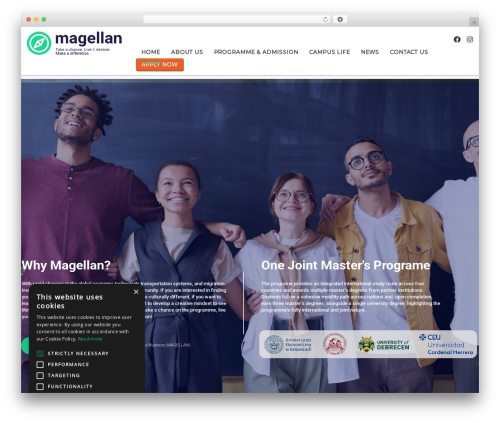 Stm post type WordPress plugin - mastermagellan.eu