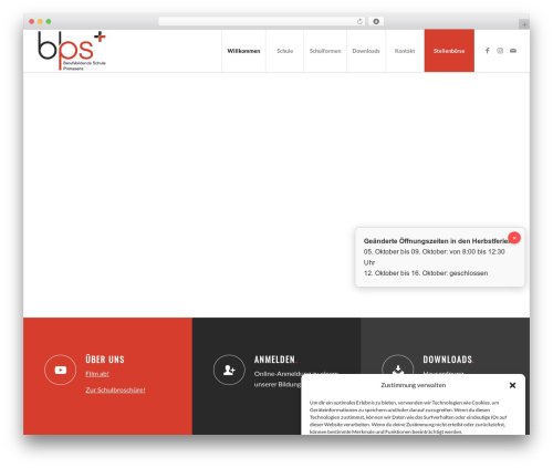Team (team-showcase) free WordPress plugin - bbspirmasens.de