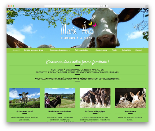 Curly extension WordPress plugin - marie-anes.com