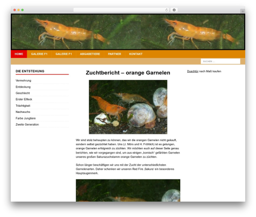 Amazon simple affiliate WordPress plugin - orange-garnelen.de