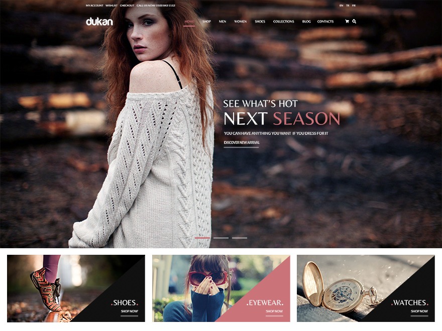 Theme WordPress MOA