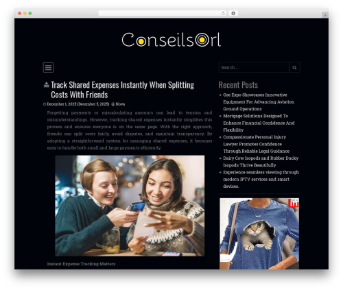 Theme WordPress Simple Dark - conseils-orl.com Theme WordPress Simple Dark - conseils-orl.com