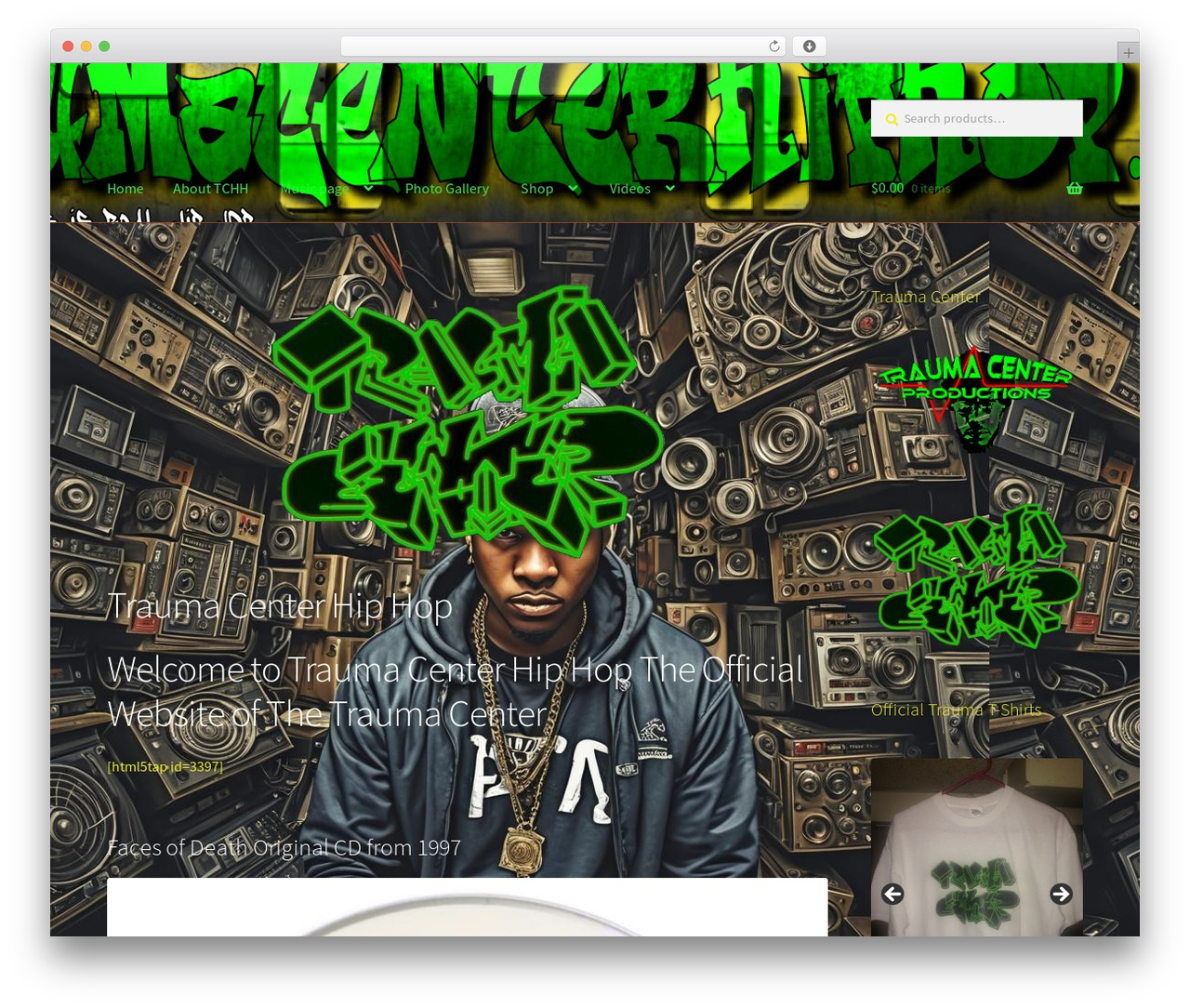 Theme WordPress Storefront - traumacenterhiphop.com