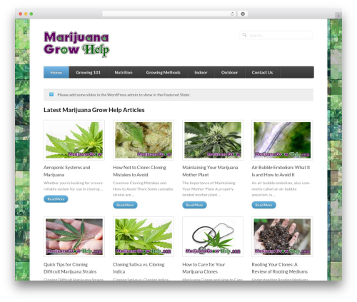 WordPress theme Function - marijuanagrowhelp.com