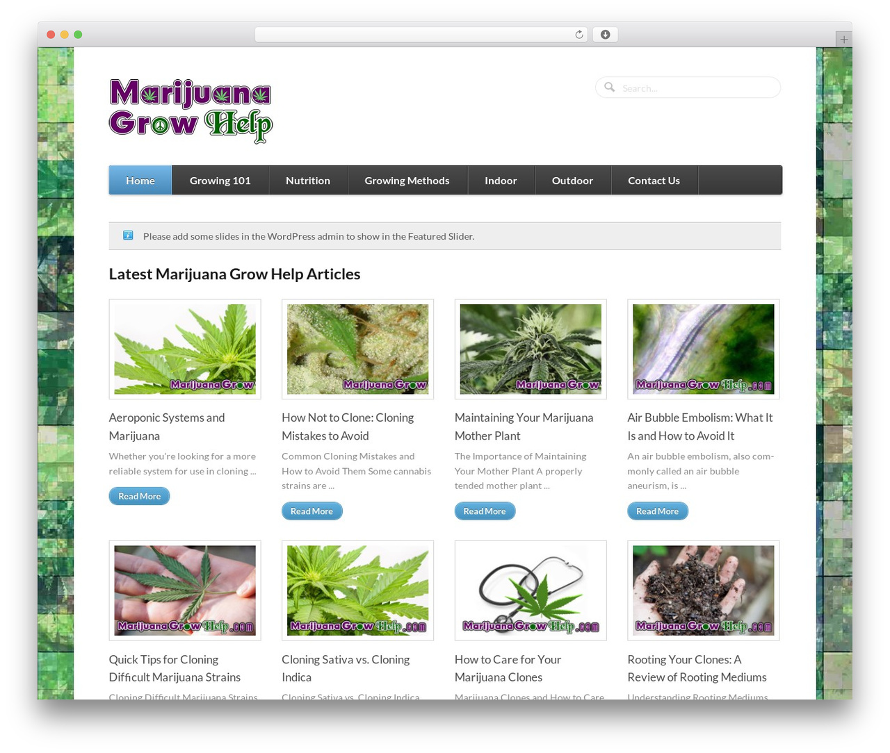 WordPress theme Function - marijuanagrowhelp.com