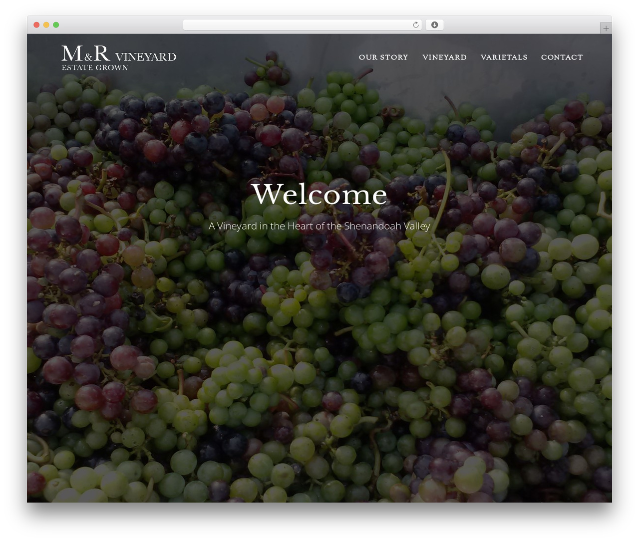 WordPress theme Highlight - mandrvineyard.com WordPress theme Highlight - mandrvineyard.com