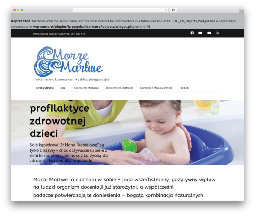 Make best WordPress theme - morzemartwe.net