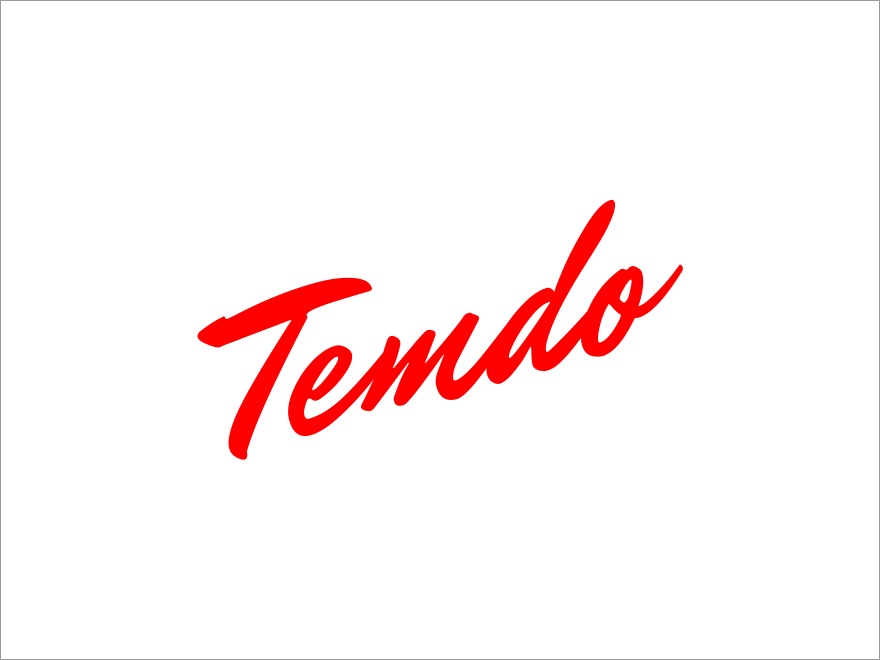 Temdo WordPress theme