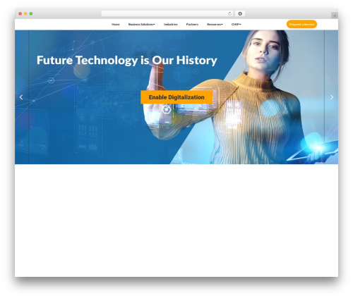 Htmega pro WordPress plugin - chip-net.com