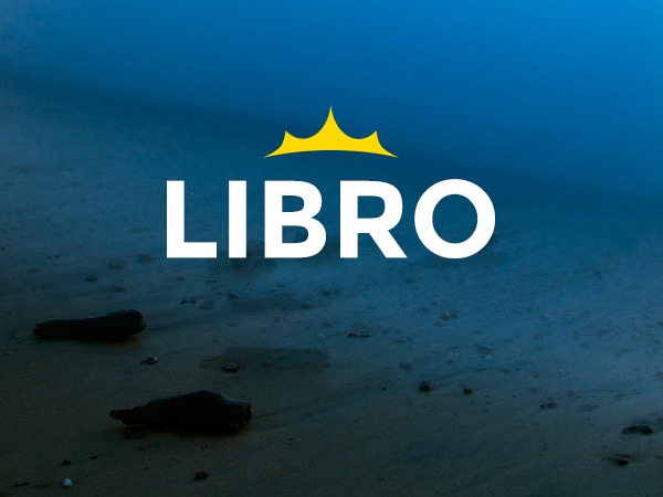 Libro Wordpress Theme top WordPress theme by CRIK0VA / ALETHEMES.COM
