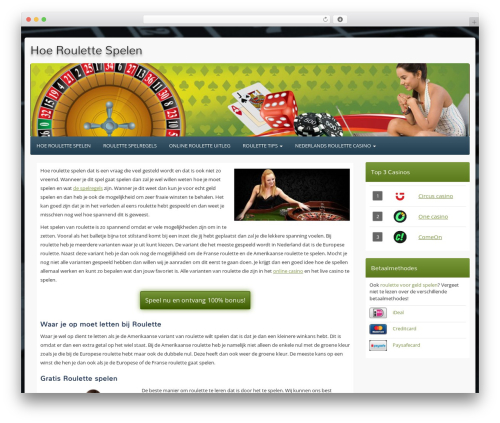 Mini Template theme WordPress - hoeroulettespelen.nl
