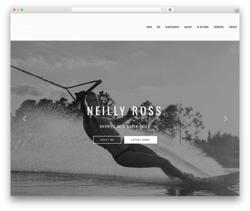 Pheromone shortcodes WordPress plugin - neillyross.com