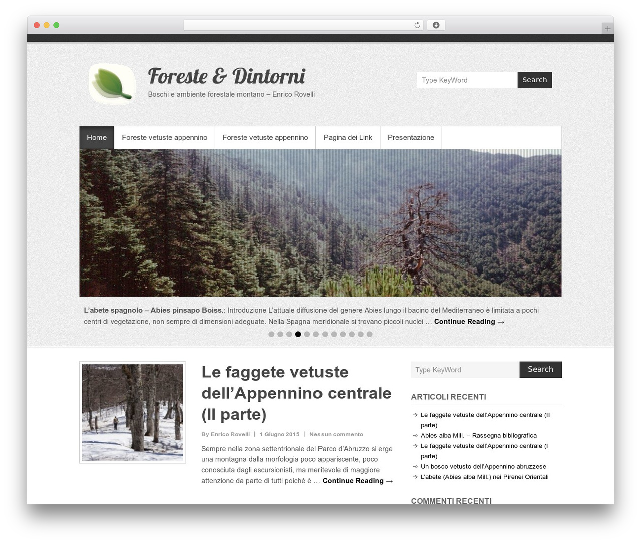Simple Catch WordPress theme - mountainforest.org Simple Catch WordPress theme - mountainforest.org