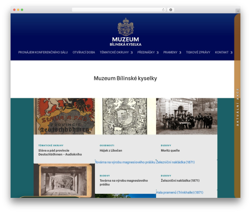 Plyr (plyr) free WordPress plugin - muzeumbilinskekyselky.cz