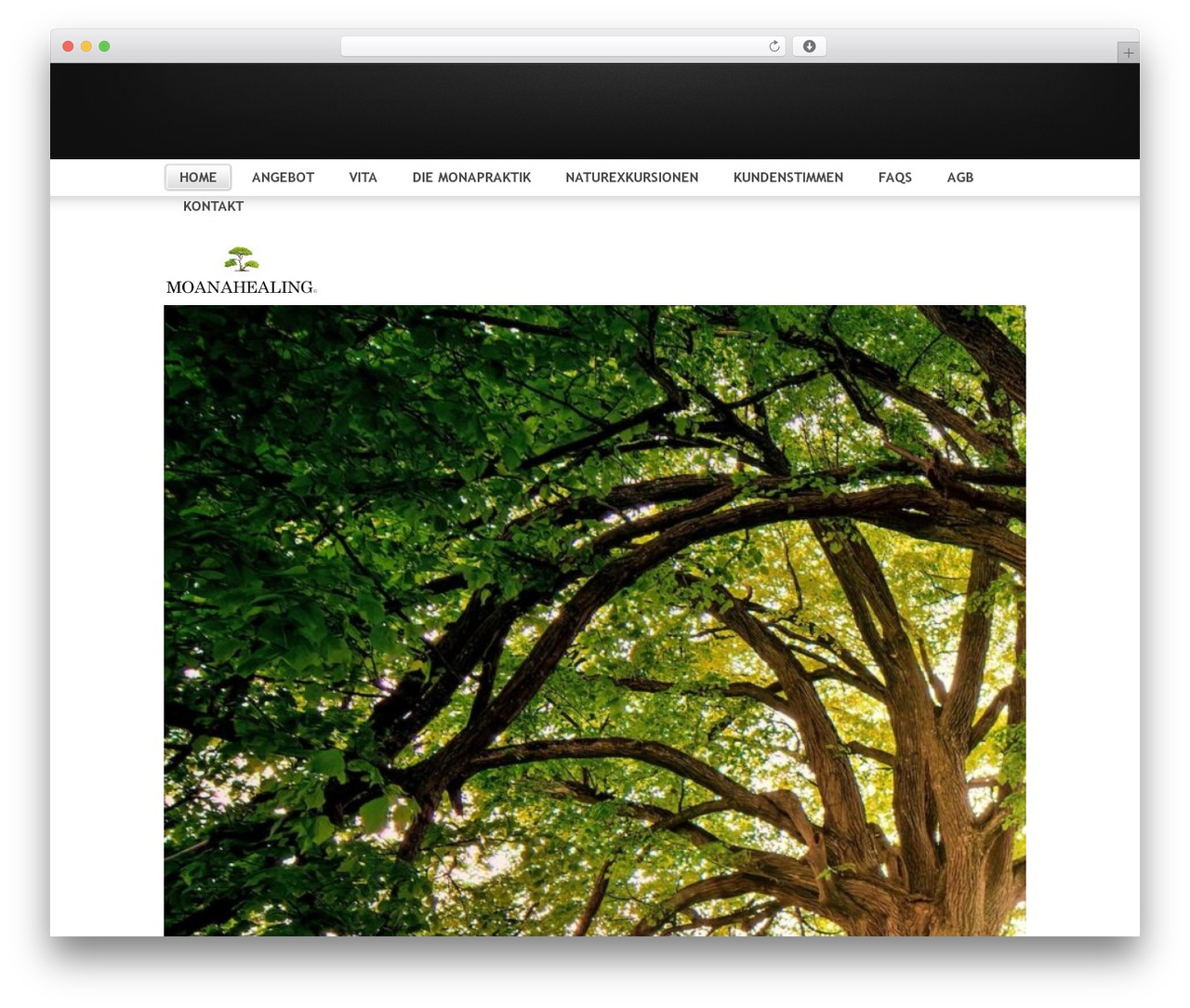WordPress Theme 1142 WordPress theme - moanahealing.ch