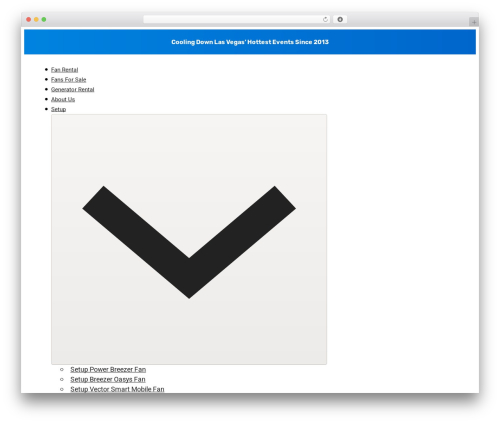 WordPress theme Bricks - mobilemistinglv.com