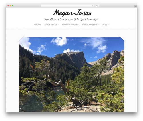 Capture best WordPress theme - meganmjonas.com