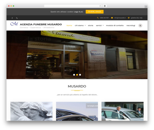 Team View (team-view) free WordPress plugin - musardo.it