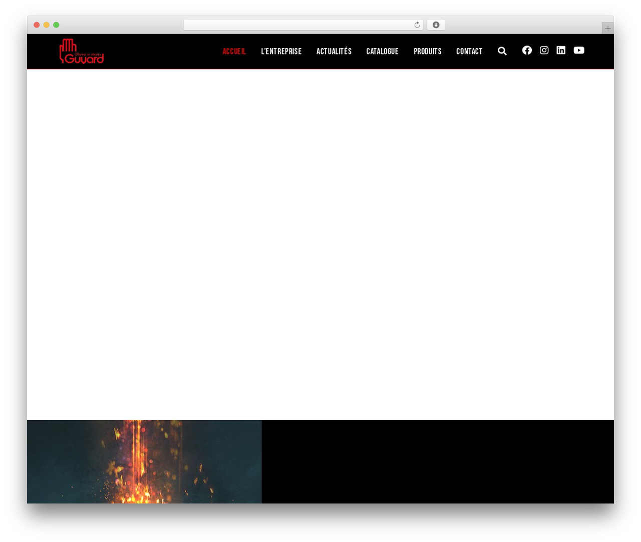 OceanWP WordPress theme - guyard-sa.com