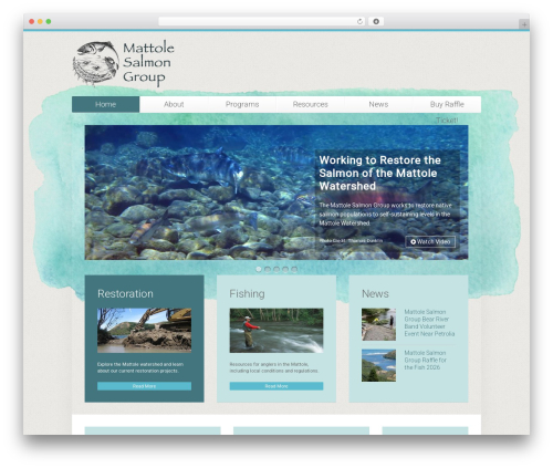 Special recent posts pro WordPress plugin - mattolesalmon.org