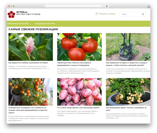 WordPress theme constructor - byton.ru