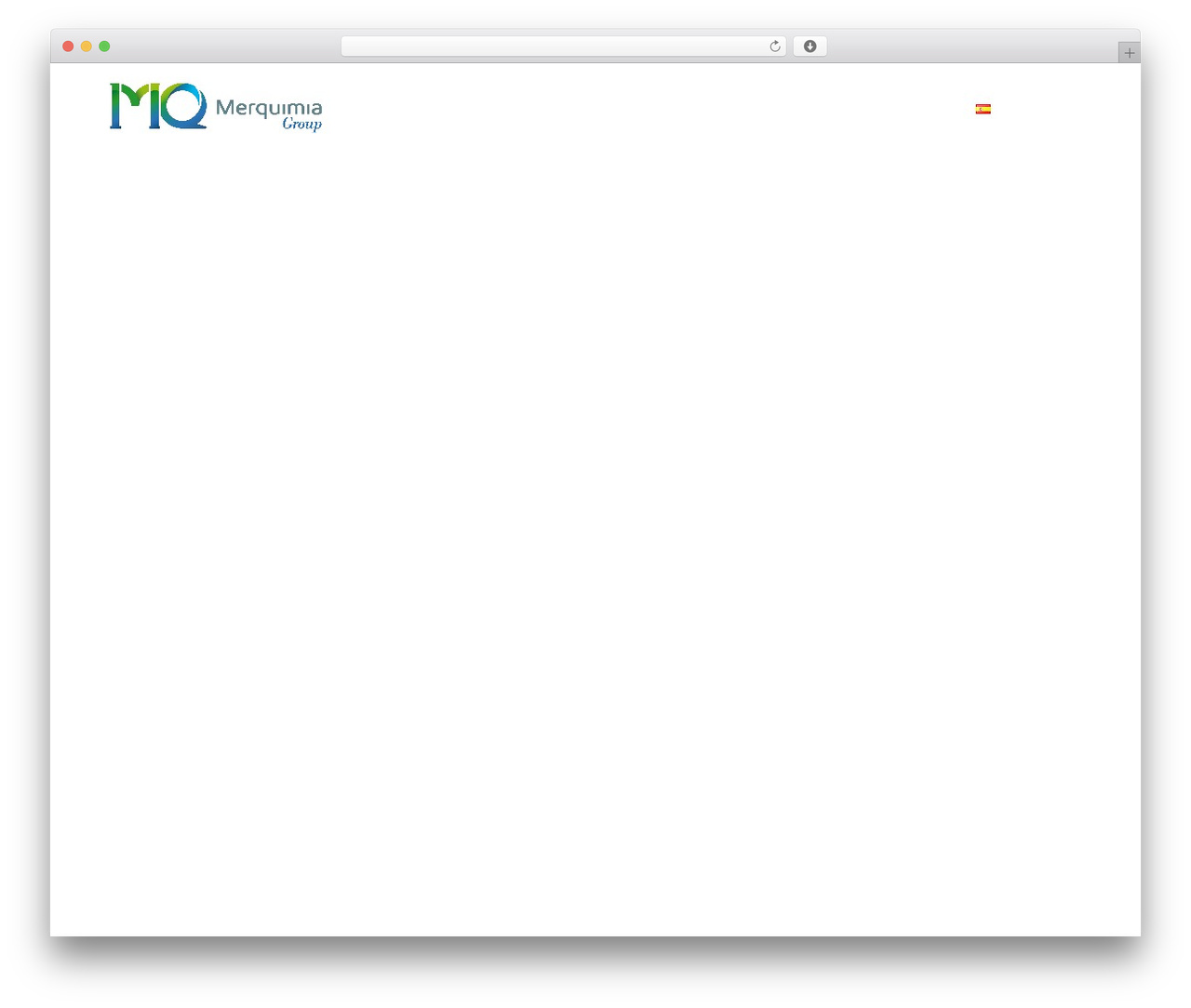 WordPress theme Target - merquimiagroup.com
