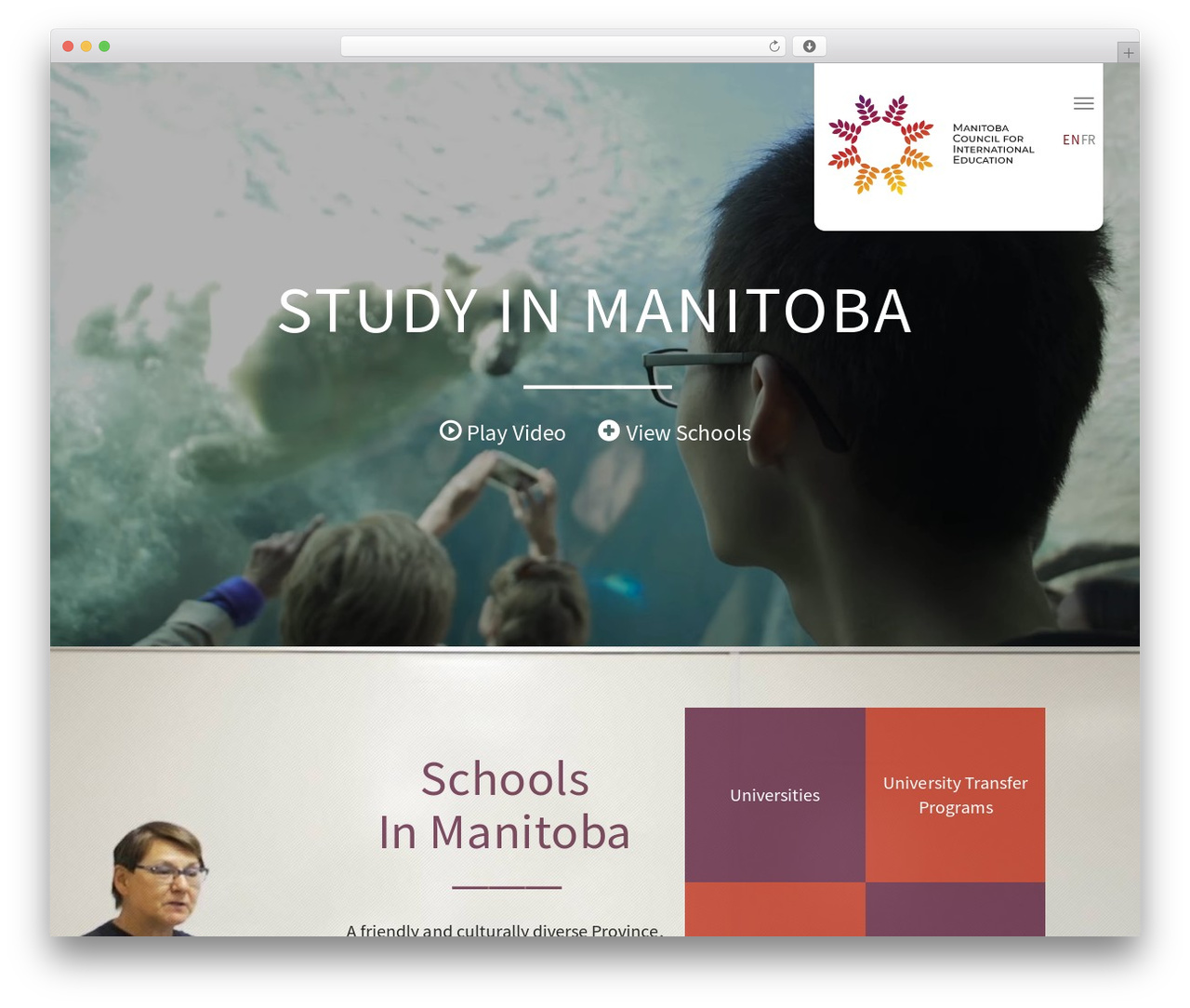 ODtheme WordPress theme - mcie.ca