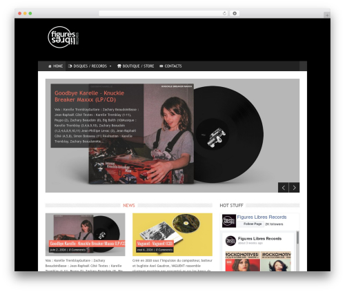 Unicorn WordPress theme design - figureslibresrecords.fr