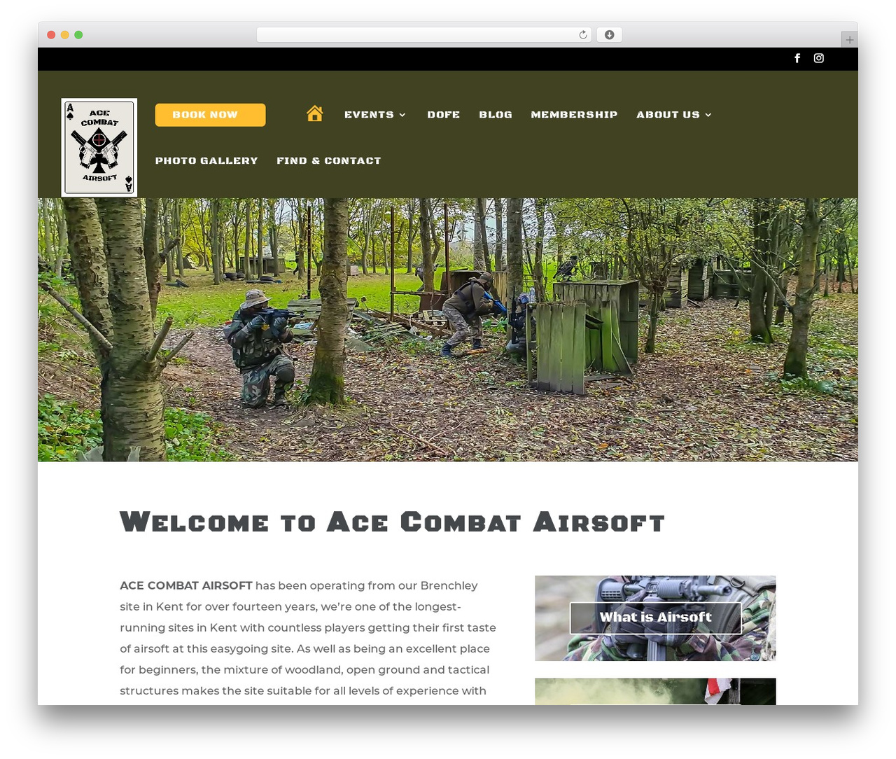 Divi WordPress theme - acecombat.co.uk