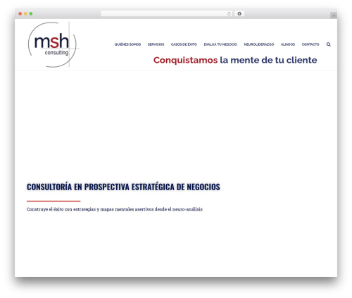 Jupiter theme WordPress - mshconsulting.net