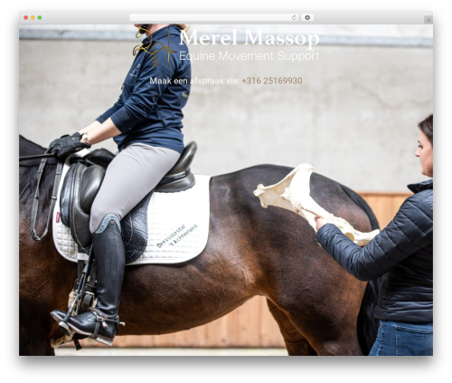Simple scroll top wp WordPress plugin - merelmassop.com
