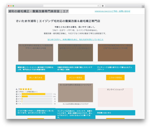 WordPress theme ENA - eva-hair.com
