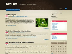 Arclite theme WordPress by digitalnature