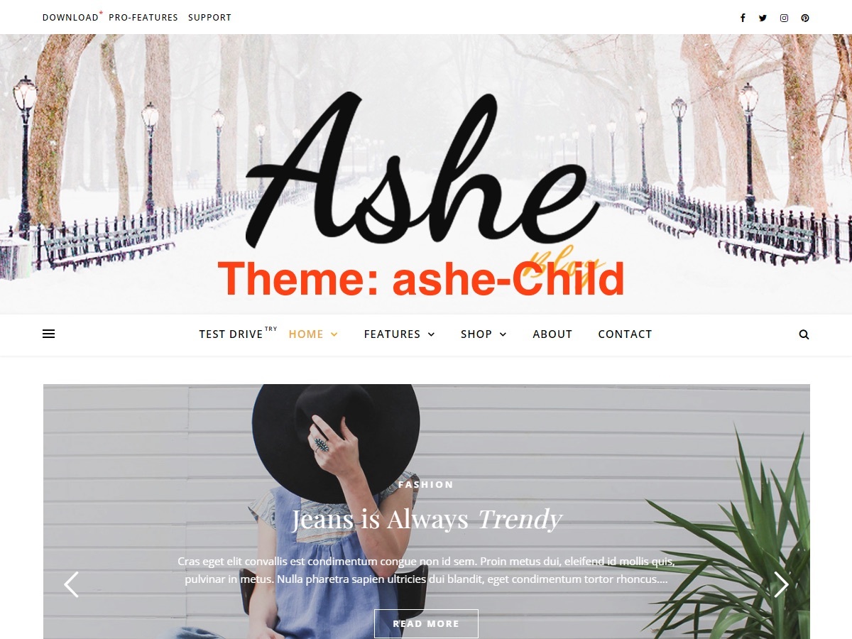 Ashe Child WordPress travel theme