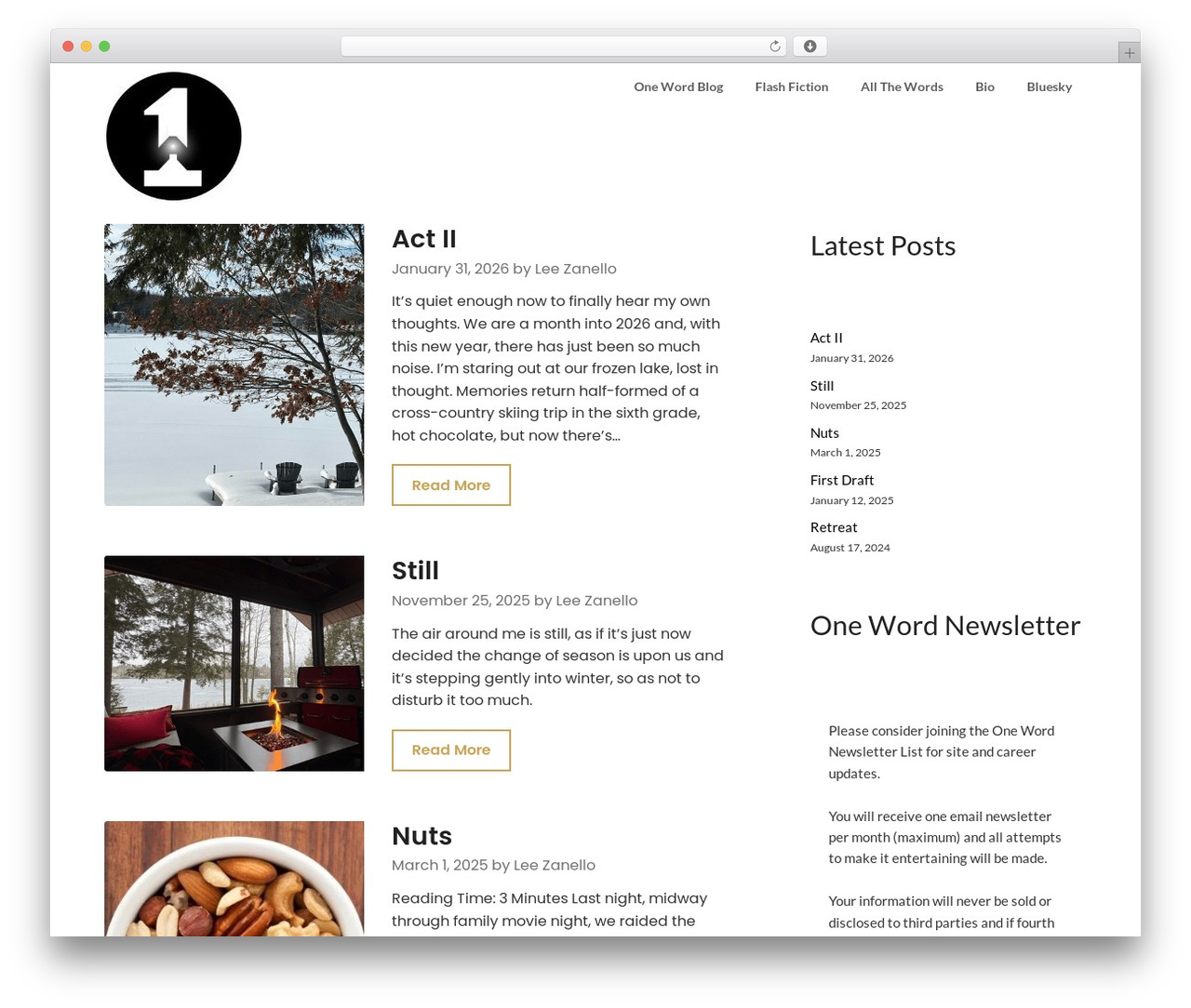 Influencers Blog free WordPress theme - leezanello.com