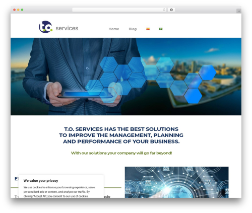 Hello Elementor theme WordPress - to-services.com
