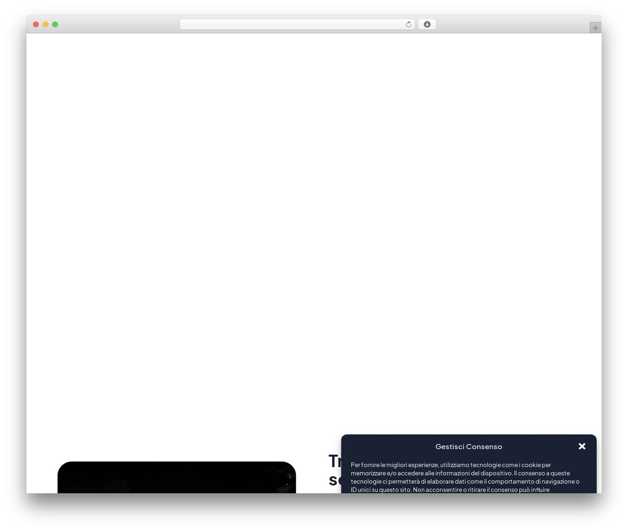 Lawfinity Child WordPress theme - studiolegalebisceglia.com