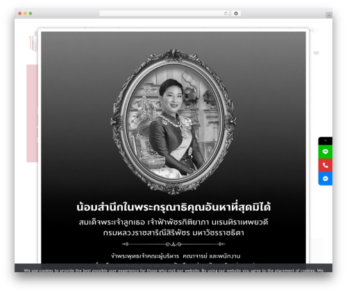 Popup builder silver WordPress plugin - www.auathailand.org
