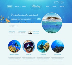theme1875 theme WordPress
