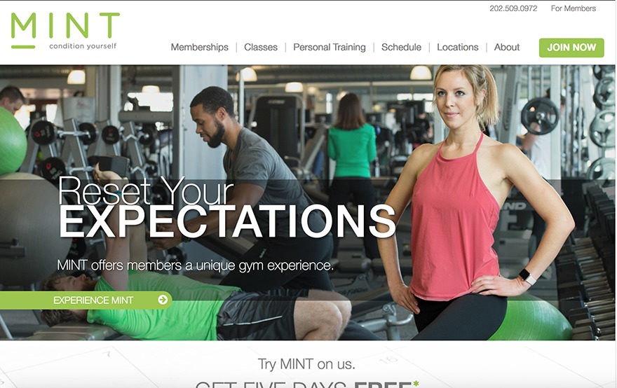 WordPress theme Mint DC WordPress theme Mint DC