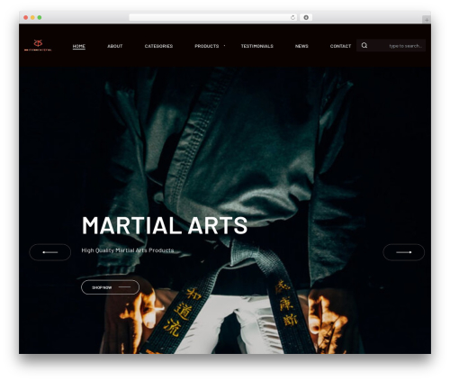 Rey core WordPress plugin - 3bintl.com