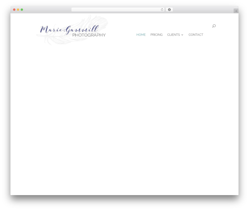 Divi WordPress theme - mariegammillphotography.com