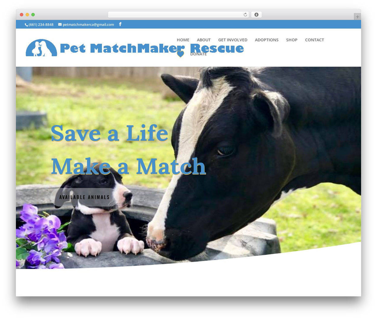 Divi WordPress theme - petmatchmaker.org Divi WordPress theme - petmatchmaker.org
