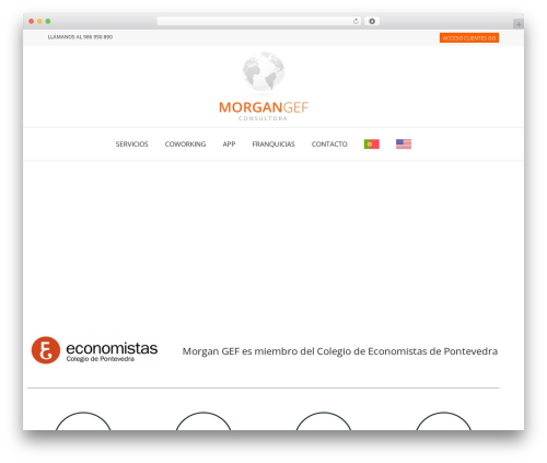 Hello Elementor free WP theme - morgangef.com