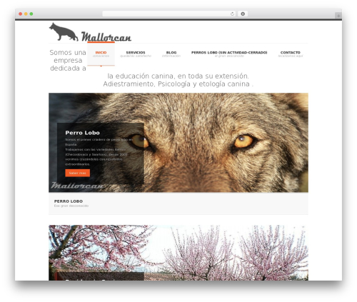 SmartStart WP - Responsive HTML5 Theme theme WordPress - mallorcan.es