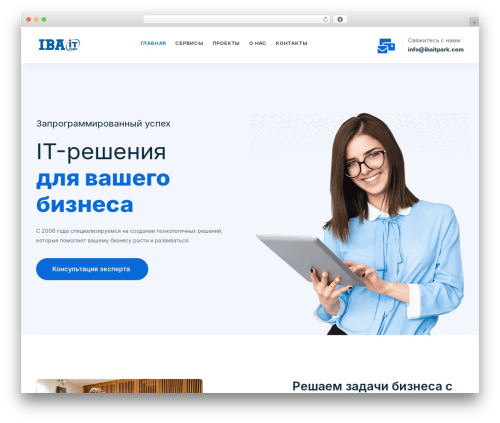 TANDA WordPress theme - ibaitpark.com